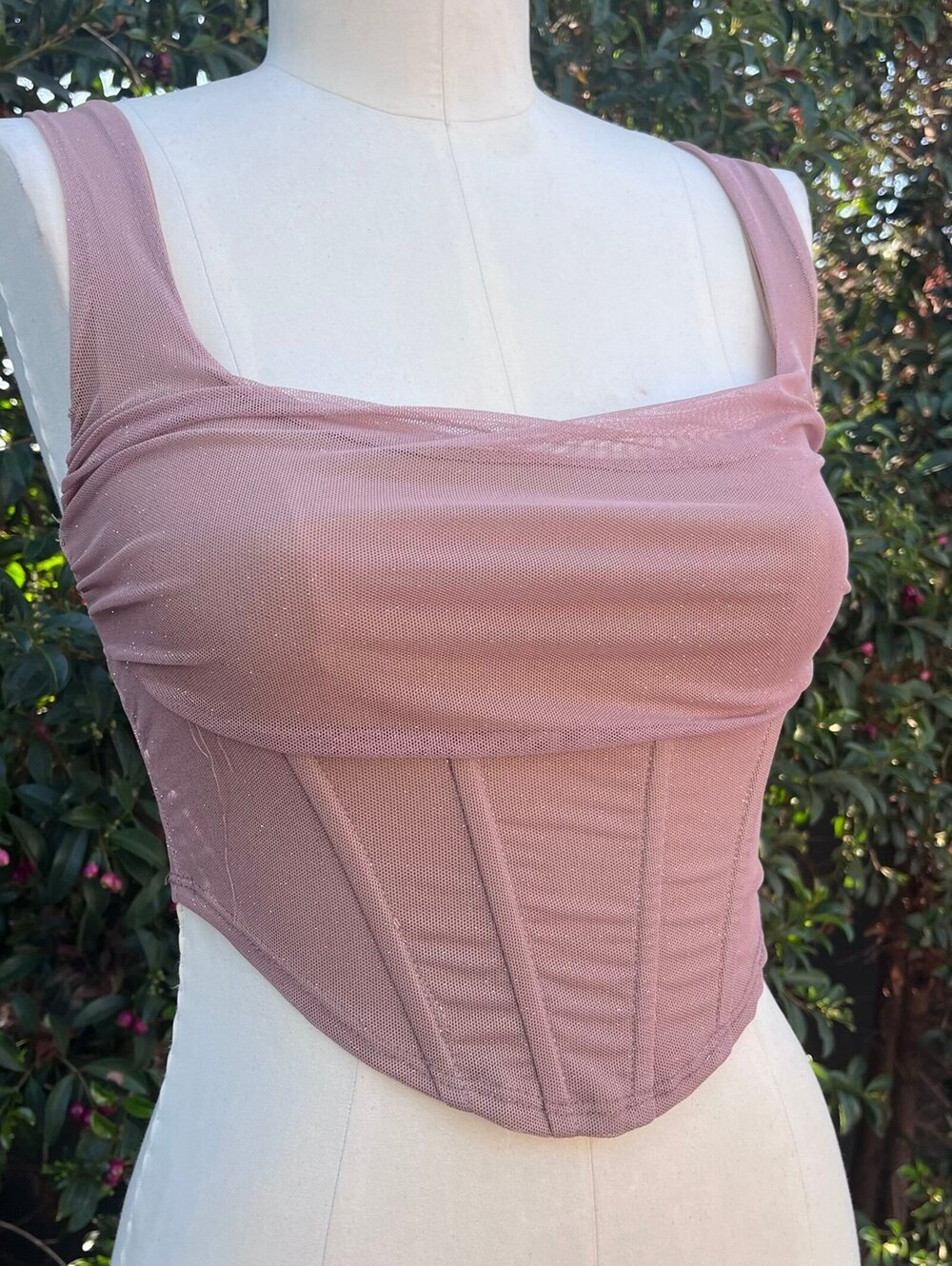 Coquette Pinup Vintage Y2K Windsor Blush Pink Mesh Corset Crop Top Bone Bustier